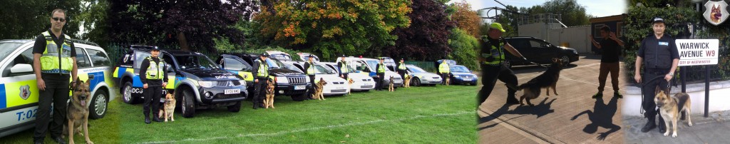 Manor House Guard Dog Security